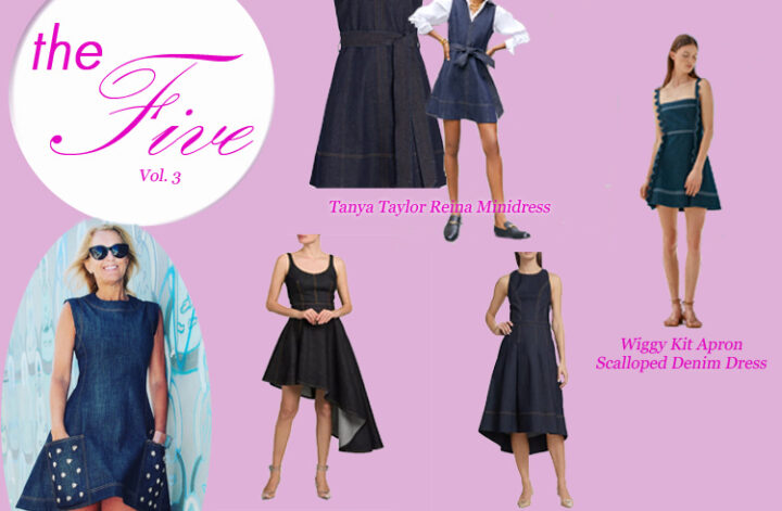 The Five vol 3 THE PERFECT DRESS TO TRANSITION TO FALL – THE DENIM DRESS